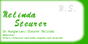 melinda steurer business card